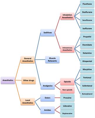 Systemic immune effects of anesthetics and their intracellular targets in tumors